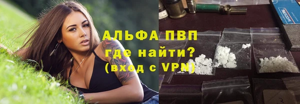 индика Фурманов