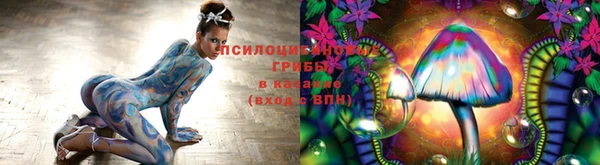 бошки Гусь-Хрустальный