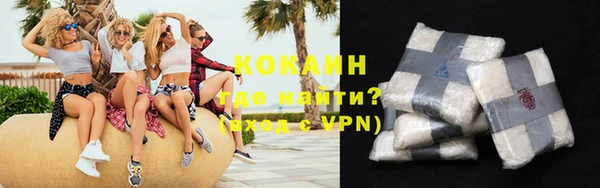 индика Фурманов