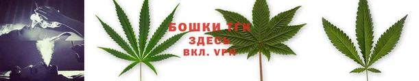 ALPHA-PVP Гусев