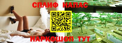 скорость Кингисепп