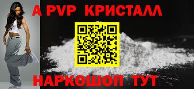 скорость Кингисепп