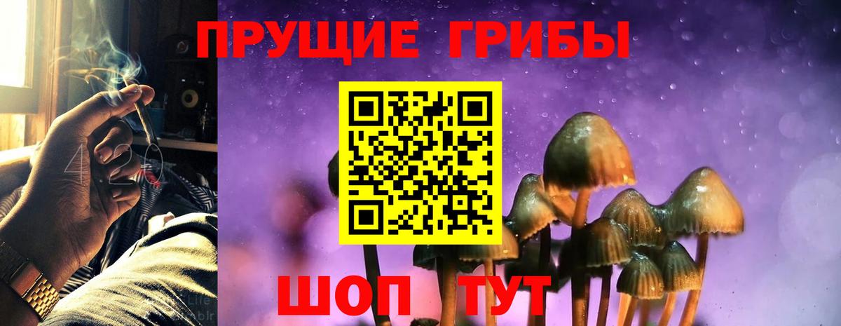 Галлюциногенные грибы Psilocybe  Псилоцибиновые грибы GOLDEN TEACHER  Похвистнево  Вход с VPN 